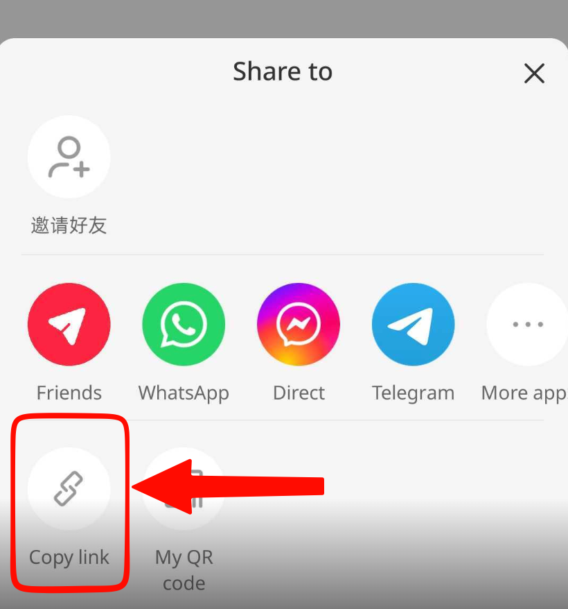 Rednote share sheet with Copy link